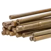 Bamboo Stick 120cm 20 Pack