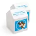 Wooden Milk Carton