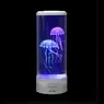 Sensory Jelly Fish Tank