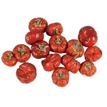 Dried Mini Pumpkins 250g