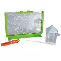 Bug City Ant Farm