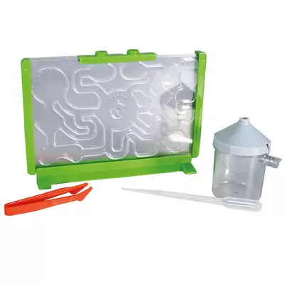 Bug City Ant Farm