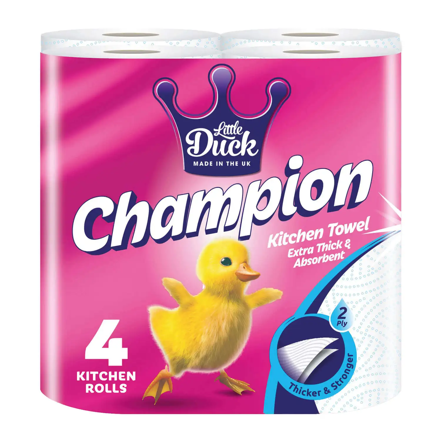 Kitchen Towel 60 Sheet 2ply 24 Pack G1p100