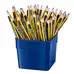 Staedtler Noris Jumbo Learners Pencils 48 Pack
