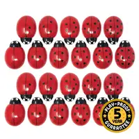 Ladybug Counting Stones