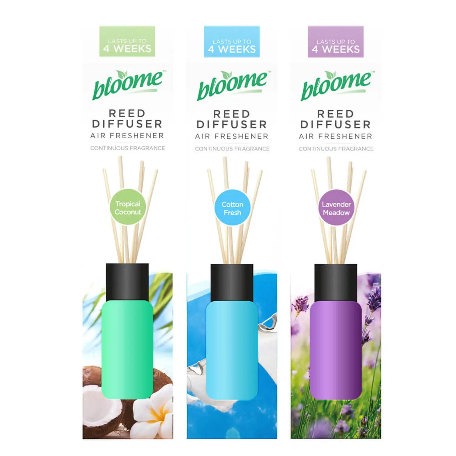 Fragranced Reed Diffuser 30ml Assorted 24 Pack G3p95
