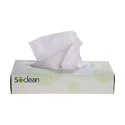 Soclean Facial Tissues 2ply 36 x 100 Pack G3p99