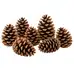 Natural Giant Pine Cones 6 Pack G2p100