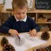 Natural Giant Pine Cones 6 Pack
