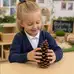 Natural Giant Pine Cones 6 Pack