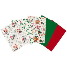 Artyom Assorted Festive Tissue Paper 50x70cm 50 Pack