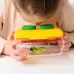 Nature Detective Kit