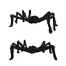 Halloween Giant Spider