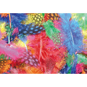 Feathers Small Spot 7g Bag