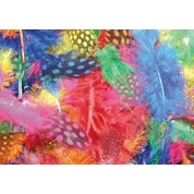 Feathers Small Spot 7g Bag