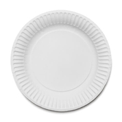 Paper Plates 7" 250 Pack