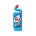 Toilet Cleaning