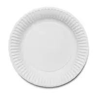 Paper Plates 9 Inch 100 Pack