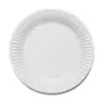 Paper Plates 9 Inch 100 Pack