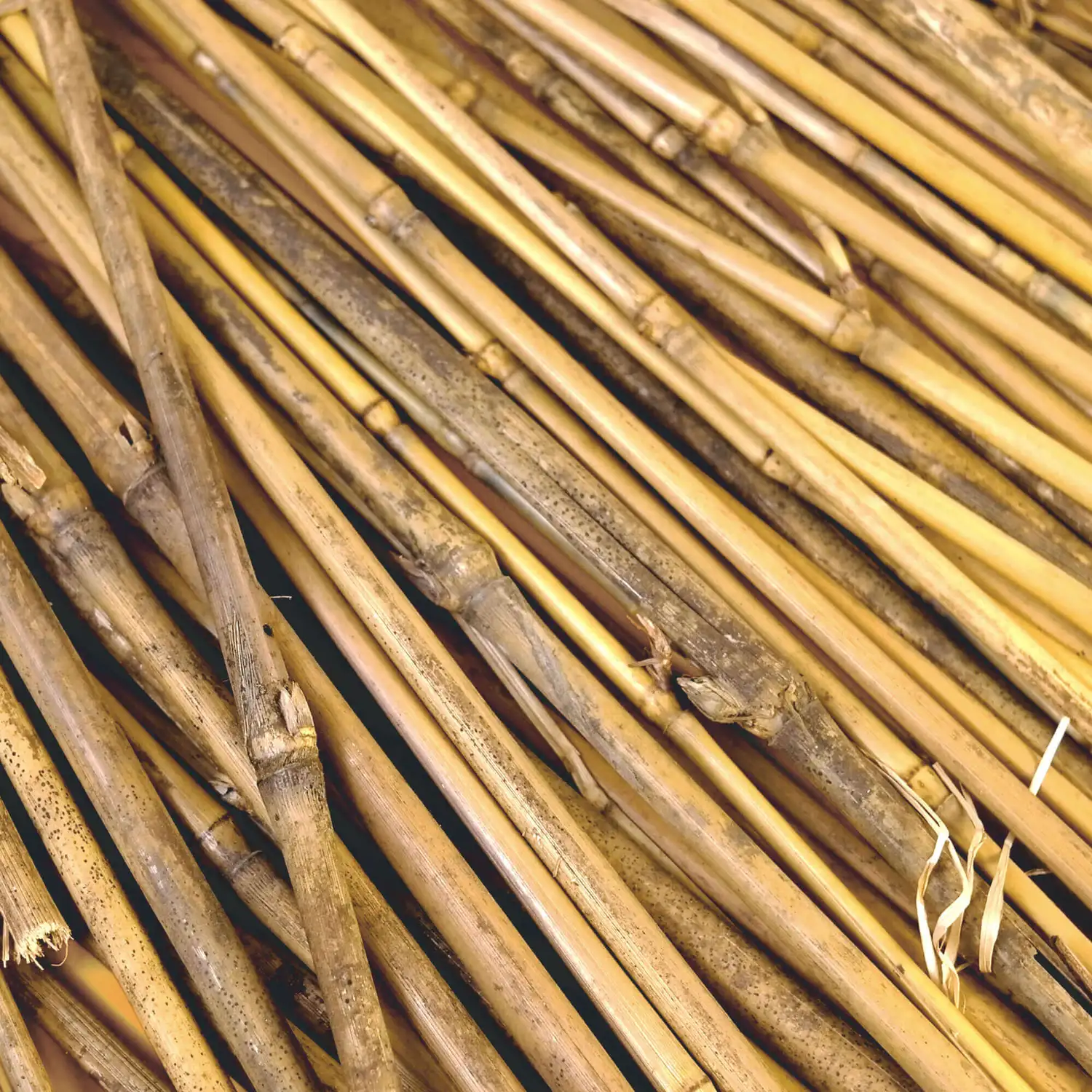 Bamboo Sticks 33cm 130 Pack