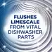 Finish Dishwasher Cleaner 250ml