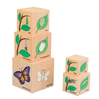 Life Cycle Wooden Blocks