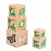 Life Cycle Wooden Blocks