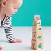 Life Cycle Wooden Blocks