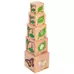 Life Cycle Wooden Blocks