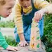 Life Cycle Wooden Blocks