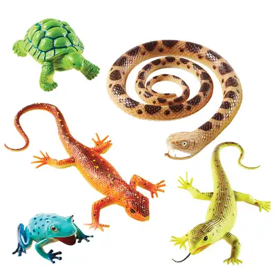 Jumbo Animals