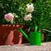 Watering Can Green