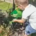 Watering Can Green