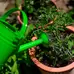 Watering Can