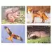 Wildlife Puzzle Puzzle 18 Piece 8 Pack