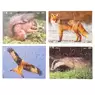 Wildlife Puzzle Puzzle 18 Piece 8 Pack