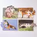 Wildlife Puzzle Puzzle 18 Piece 8 Pack