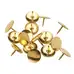Writy Drawing Pins 100 Pack G2p100