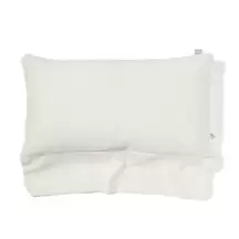 Wing Positioning Cushion