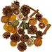 Assorted Festive Naturals Set