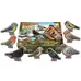 Sensory Play Bird Stones 8 Pack