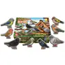 Sensory Play Bird Stones 8 Pack