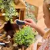 Sensory Play Bird Stones 8 Pack