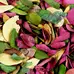 Dried Coloured Leaves 50g G2p100