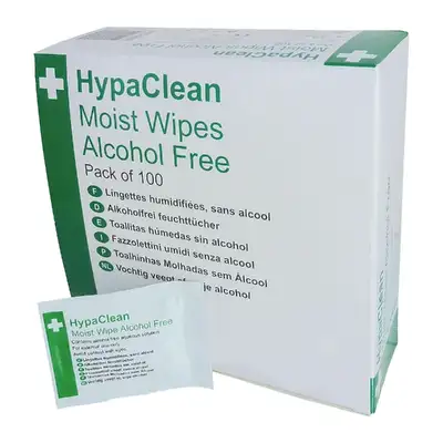 Alcohol Free Moist Wipes 100 Pack G1p100