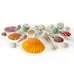 Assorted Sea Shells 1.3kg G2p100