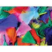 Artyom Feathers Assorted Colours 50g