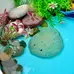 Sensory Play Fish Stones 8 Pack