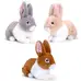 Rabbit Soft Toy 18cm