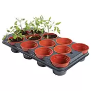 Growing Pots 11cm 12 Pack
